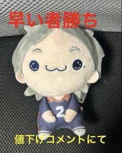 ハイキュー　菅原　もちぴこぬいぐるみ