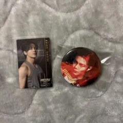 武知海青 TheRAMPAGE フォトカ缶バッジセット