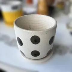 ドット柄 陶器製 植木鉢 受け皿付き