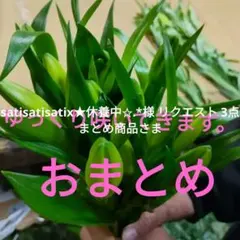satisatisatix★休養中✩.*様 リクエスト 3点 まとめ商品