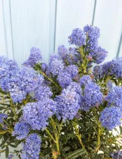 Heart様 リクエスト 3点 まとめ商品