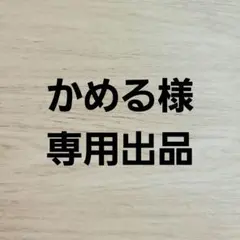かめる様　専用出品