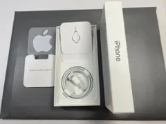 Apple Lightningケーブル ACアダプタセット