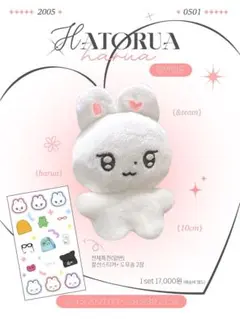&team ハルア ぬいぐるみ 10cm 新品 マスター - メルカリ