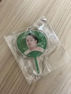 Item thumbnail for item ad72593e-92a9-4e0d-95bd-82b1026ca354