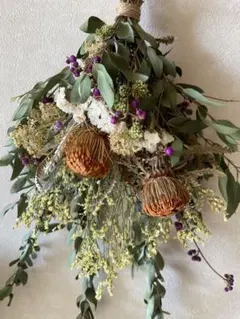 【約45×30㌢】ドライアンドラ　ユーカリスワッグ＊