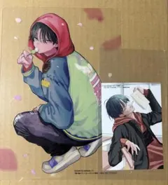 花とゆめ 春の嵐とモンスター 天峰栢 付録 クリア下敷き ブロマイド