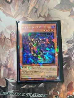 シャドール・リザード シクパラ