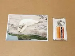 ノーレーズンサンドイッチ　ガチャガチャ