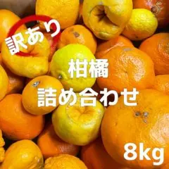 訳あり‼️愛媛産　河内晩柑+デコポン8kg　加工用におすすめのサムネイル