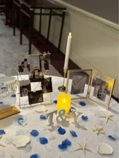 ウェルカムスペース　海イメージの貝がらセット