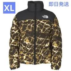 us限定‼️正規品 メンズ　 1996 レトロヌプシジャケット　700フィル　茶