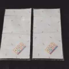 Item thumbnail for item 621f66e8-7487-4acc-900f-eb176ef1b0c6