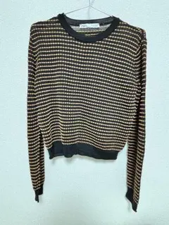 ZARA ストライプ模様 長袖ニット