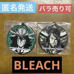 【未使用品】BLEACH ブリーチ 一番くじ　ラバーストラップ 2点セット