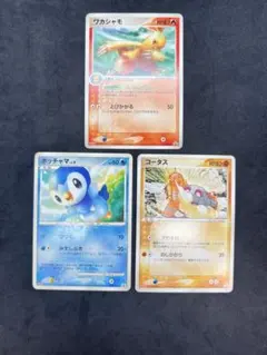 訳あり】ミロカロス：「ポケモンセンターカナザワオープン記念