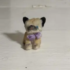 マダガカカル産 珍品ゾウムシ 17mm - メルカリ
