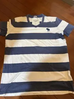 アバクロンビー＆フィッチ　ネイビーとホワイトのストライプTシャツ