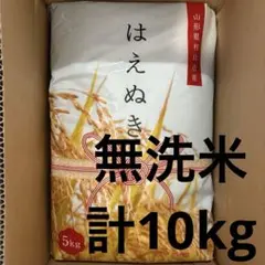 山形県 はえぬき　無洗米　5kg×2袋 計10kgのサムネイル