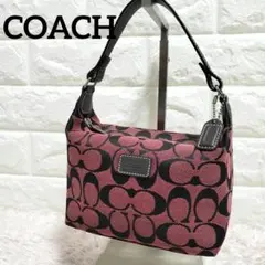COACH コーチ アクセサリーポーチ シグネチャー ワンショルダーバッグ 美品