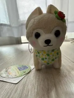 豆しば 三兄弟 クローバー