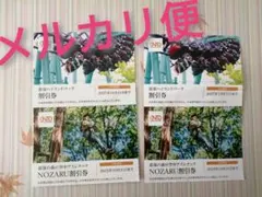 那須ハイランドパークの割引券セット