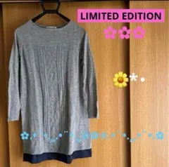 LIMITED EDITION チュニック グレー