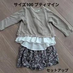 プティマイン セットアップ 100