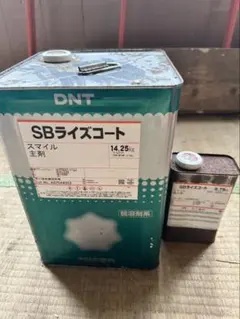DNT SBライズコート スマイル 15kg硬化剤セット - メルカリ