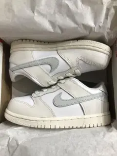 NIKE DUNK LOW (TDE) FB9107-109 ダンク 16cm