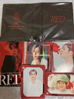 山田涼介～ツアーRED～カード・フォルダー2点未使用品