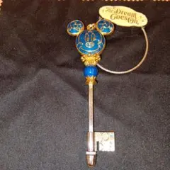 東京ディズニーランド　キーホルダー　２５周年　ドリームキー　バッグチャーム