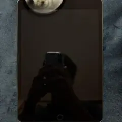 Apple iPad 7世代