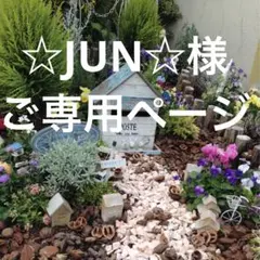 ☆JUN☆様　ご専用ページです