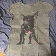 GapKids 犬イラスト 半袖Tシャツ