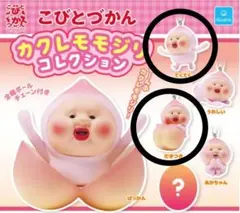 こびとづかん カクレモモジリ コレクション