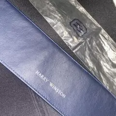 Item thumbnail for item 061bc2b6-62b9-49e3-a043-15a2d3f2bca2