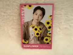 堀夏喜 フォトカード シークレット
