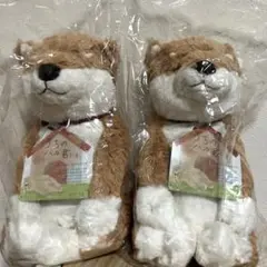 【美品】SHINADAうちのハル君 柴犬ぬいぐるみ2匹セット ペア プレゼント用