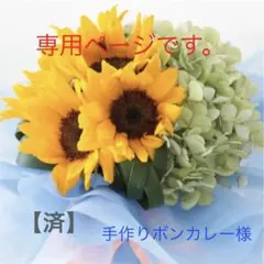 羊毛フェルト専用ページ