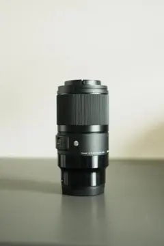 ひ*や様 SONY α7 ミラーレスカメラ 本体 レンズ ライカのズマール