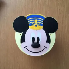 ディズニー リゾート35周年　スーベニア ケース