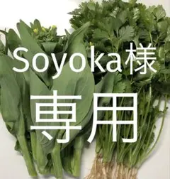 Soyoka様専用