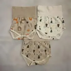 Item thumbnail for item dfcc7081-5014-42a5-b1ac-c3bc4201fdfc