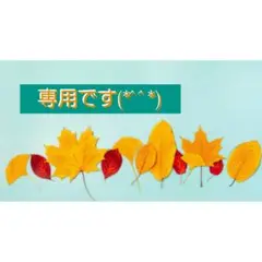専用です(*^^*)