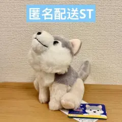 もふっとオオカミ遠吠えST ぬいぐるみ　マスコット　フォレス　9月新作