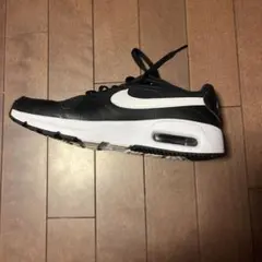 Nike Air Max スニーカー