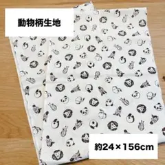 Item thumbnail for item 21029cea-7623-4074-8131-66fd44ba129e