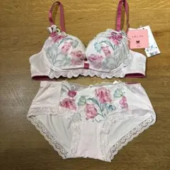 Wacoal ワコール ルジェ ショーツ 2枚セット❣️花柄♡ᵕ̈*可愛い︎✿·͜· 2026年最新】Wacoalルジェの人気アイテム - メルカリ