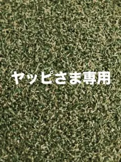 ウサギと花のクリアケース 専用